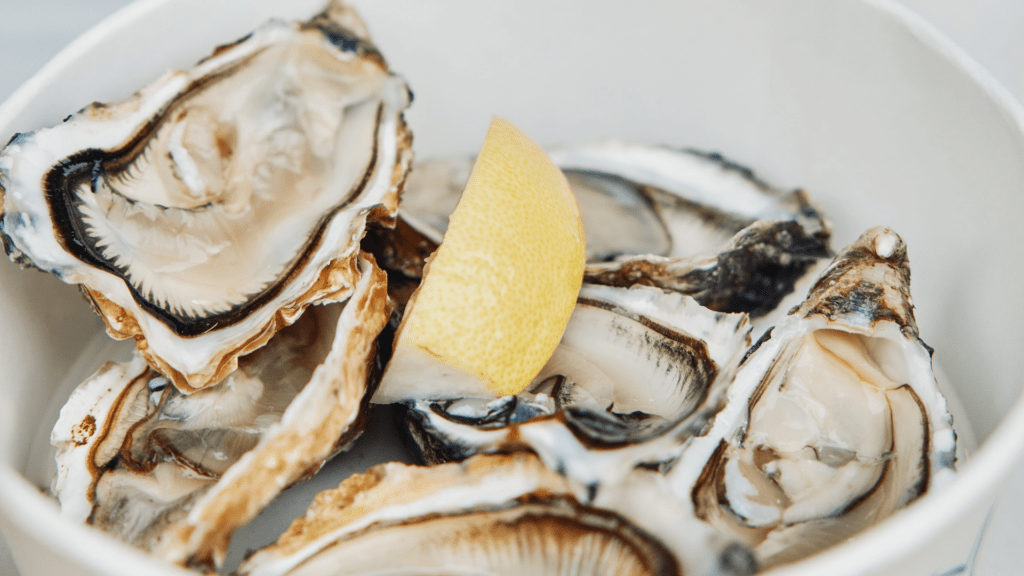 Oesters bij de Noordzee